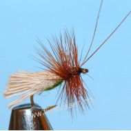 G & H Sedge