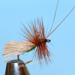 G & H Sedge G & H Sedge