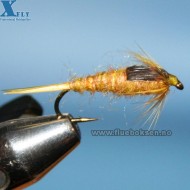 Golden Stonefly