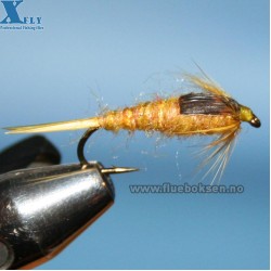 Golden Stonefly Golden Stonefly