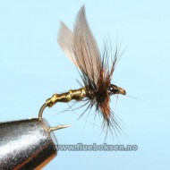 Greenwells Glory,winged