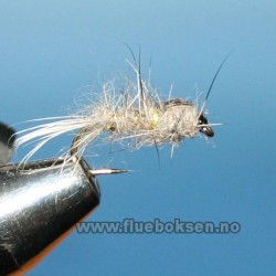 Hares Ear Rough Hares Ear Rough
