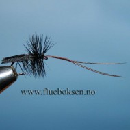 Horned Sedge, Black