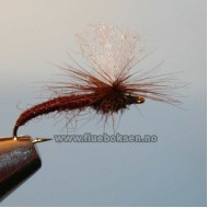 Klinkhammer, Light Brown