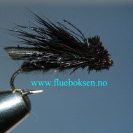 Letort Cricket, svart