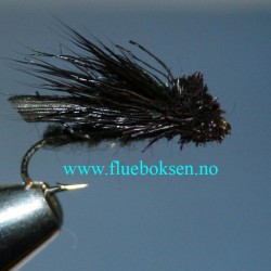 Letort Cricket, svart Letort Cricket, svart