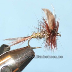 March Brown Winged March Brown Winged