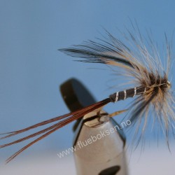 Mayfly Grey, spent Mayfly Grey, spent
