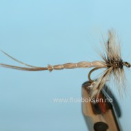 Mayfly(Danica) Detached body