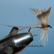 Mayfly grey