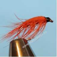 Shrimp Orange, nymfe