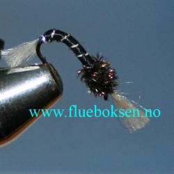Buzzer, Black Buzzer, Black