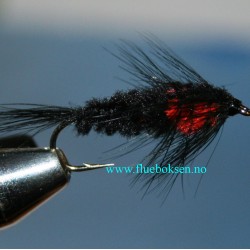 Montana, Orange Montana, Orange