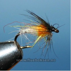 Sedge Pupa Sedge Pupa